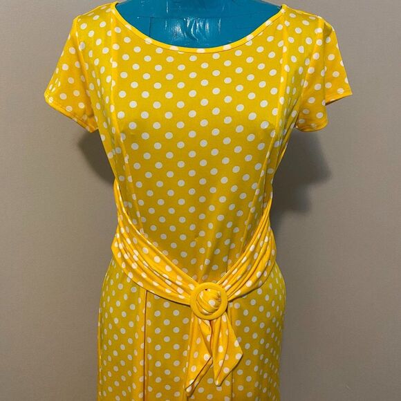 Chelsea Suite Scooped Neck Short Sleeve Polka Dot Womens Dress Size 10 - Picture 2 of 9